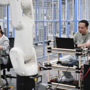 dans-le-sud-de-la-chine,-lia-donne-un-coup-de-fouet-aux-usines