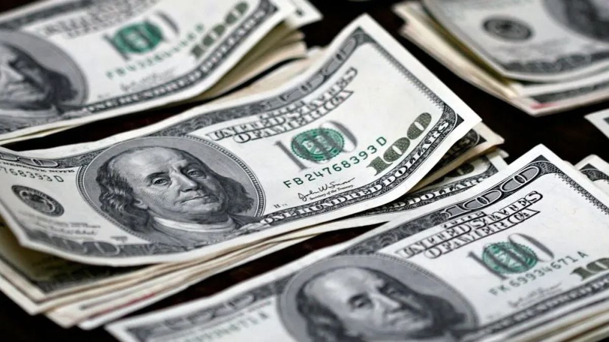 el-mentor-economico-de-javier-milei-anticipo-una-mayor-dolarizacion-y-vinculo-el-futuro-economico-al-respaldo-politico