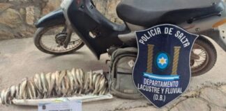 Pesca ilegal en Cabra Corral: un motociclista fue sorprendido con 140 pescados en una mochila pesca-ilegal-en-cabra-corral:-un-motociclista-fue-sorprendido-con-140-pescados-en-una-mochila