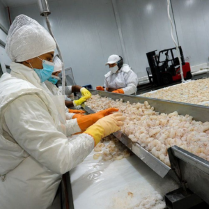 nueva-operacion-en-la-pesca-fortalece-la-produccion,-la-logistica-y-el-empleo-en-chubut
