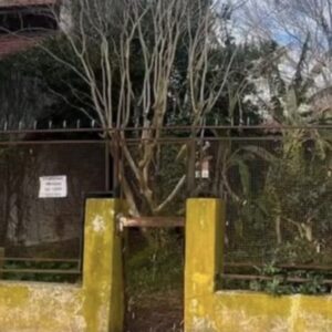 horror-en-la-plata:-quiso-usurpar-una-casa-y-encontro-el-cuerpo-de-un-jubilado-en-estado-de-revision