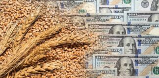 Derechos de exportación: funcionó la reducción? derechos-de-exportacion:-funciono-la-reduccion?