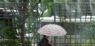 Canicule: la Corée du Sud déclenche sa estreno alerte maximale pour chaleur extrême canicule:-la-coree-du-sud-declenche-sa-estreno-alerte-maximale-pour-chaleur-extreme