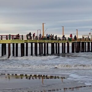 vacaciones-de-invierno:-el-mejor-momento-para-pescar-pejerreyes-desde-los-muelles