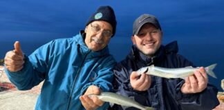 Y un día el pejerrey corno volvió a Mar del Plata y-un-dia-el-pejerrey-corno-volvio-a-mar-del-plata