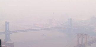 Wildfire smoke triggers air quality alert in the US ahead of World Cup final wildfire-smoke-triggers-air-quality-alert-in-the-us-ahead-of-world-cup-final