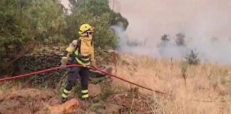 Incendies en España: 29.000 hectáreas brûlés al norte de Madrid; le feu est lun des plus complexes de lhistoire du pays incendies-en-espana:-29.000-hectareas-brules-al-norte-de-madrid;-le-feu-est-lun-des-plus-complexes-de-lhistoire-du-pays
