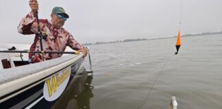 Pesca de pejerrey: 10 fallas que cometen muchos pescadores y que alejan las capturas pesca-de-pejerrey:-10-fallas-que-cometen-muchos-pescadores-y-que-alejan-las-capturas