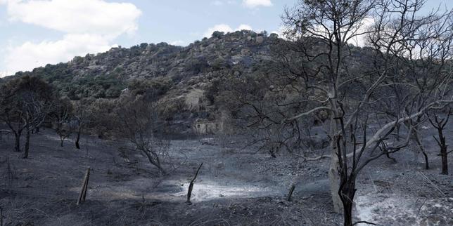en-espana,-la-solidaridad-y-la-concordia-politica-prevalecen-frente-a-los-incendios-monstruosos