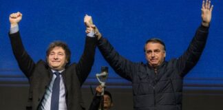 Milei prueba su magia de derecha en la inestable campaña de Flavio Bolsonaro en Brasil milei-prueba-su-magia-de-derecha-en-la-inestable-campana-de-flavio-bolsonaro-en-brasil