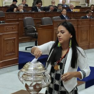 un-transfuga-rompio-el-bloque-de-oposicion-en-la-eleccion-en-el-senado