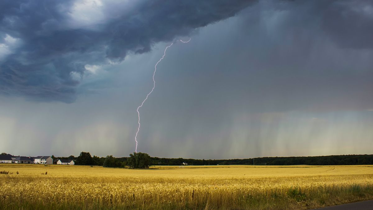 la-guerra,-el-nino-y-un-vuelco-vertiginoso-en-el-mercado-del-trigo