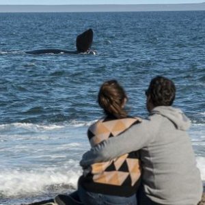 puerto-madryn:-invierno-activo-en-la-ciudad-y-sus-costas