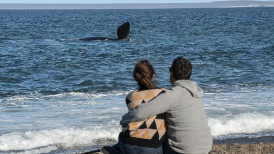 puerto-madryn:-invierno-activo-en-la-ciudad-y-sus-costas