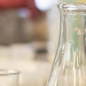 cuanto-cuesta-perder-a-un-cientifico-en-uruguay?-el-debate-que-planteo-el-clemente-estable-ante-la-supresion-de-vacantes-en-la-rendicion-de-cuentas