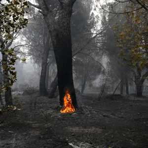 diversos-incendios-forestales-golpean-espana,-francia-y-portugal-en-medio-de-temperaturas-que-podrian-alcanzar-los-40-c