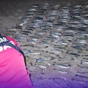 secuestran-255-pejerreyes-en-el-dique-la-vina:-3-pescadores-superaban-ampliamente-el-cupo-permitido