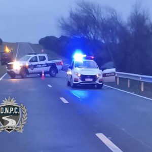 una-mujer-aparecio-muerta-sobre-la-ruta-16:-un-vehiculo-volvio-a-atropellar-el-cuerpo-y-escapo