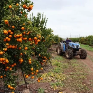 arancel-de-eeuu.:-advierten-impacto-en-la-competitividad-del-agro-regional