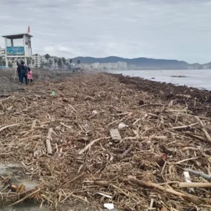 mas-de-ocho-kilometros:-anuncian-plan-de-limpieza-para-la-avenida-del-mar