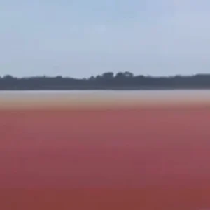 impresionante-|-cienaga-de-el-llanito,-en-barrancabermeja,-se-puso-de-tono-rojo:-expertos-aseguran-que-es-la-grave-contaminacion-y-fenomeno-de-el-nino
