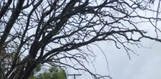 Daños en infraestructura y cortes eléctricos afectarán a los APR del Limarí danos-en-infraestructura-y-cortes-electricos-afectaran-a-los-apr-del-limari