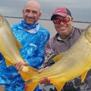 dorados-de-gran-porte-antes-del-pico-de-la-creciente-del-parana-en-cayasta