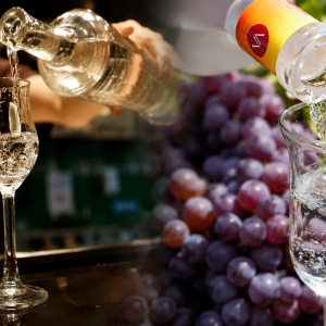 dia-nacional-del-pisco:-5-recomendaciones-clave-del-indecopi-para-reconocer-un-producto-autentico