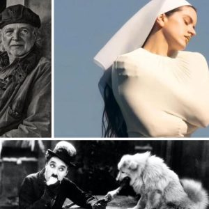 get-out!-rosalia,-mallmann-and-35mm-movies