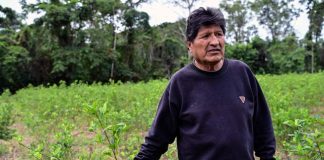 Bolivia: mandat darrêt émis contra lex-président Evo Morales pour son rôle dans les manifestations antigouvernementales bolivia:-mandat-darret-emis-contra-lex-president-evo-morales-pour-son-role-dans-les-manifestations-antigouvernementales