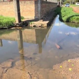 (video)-¡atende-na-esto!-ya-podes-ir-a-pescar-en-un-bache-de-luque