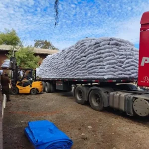 san-lleva-30-toneladas-de-alfalfa-para-crianceros-afectados-por-temporal