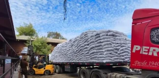 SAN lleva 30 toneladas de alfalfa para crianceros afectados por temporal san-lleva-30-toneladas-de-alfalfa-para-crianceros-afectados-por-temporal