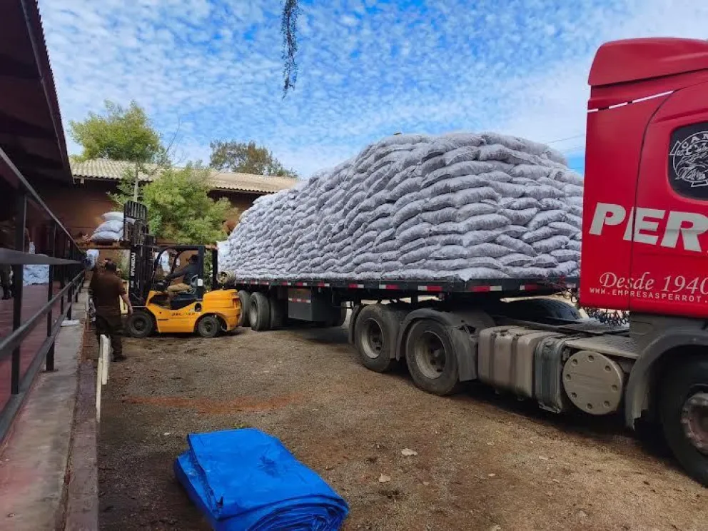 san-lleva-30-toneladas-de-alfalfa-para-crianceros-afectados-por-temporal