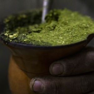 behind-yerba-mate-craze,-argentine-farmers-bemoan-mileis-austerity