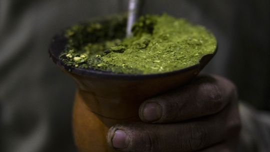 behind-yerba-mate-craze,-argentine-farmers-bemoan-mileis-austerity