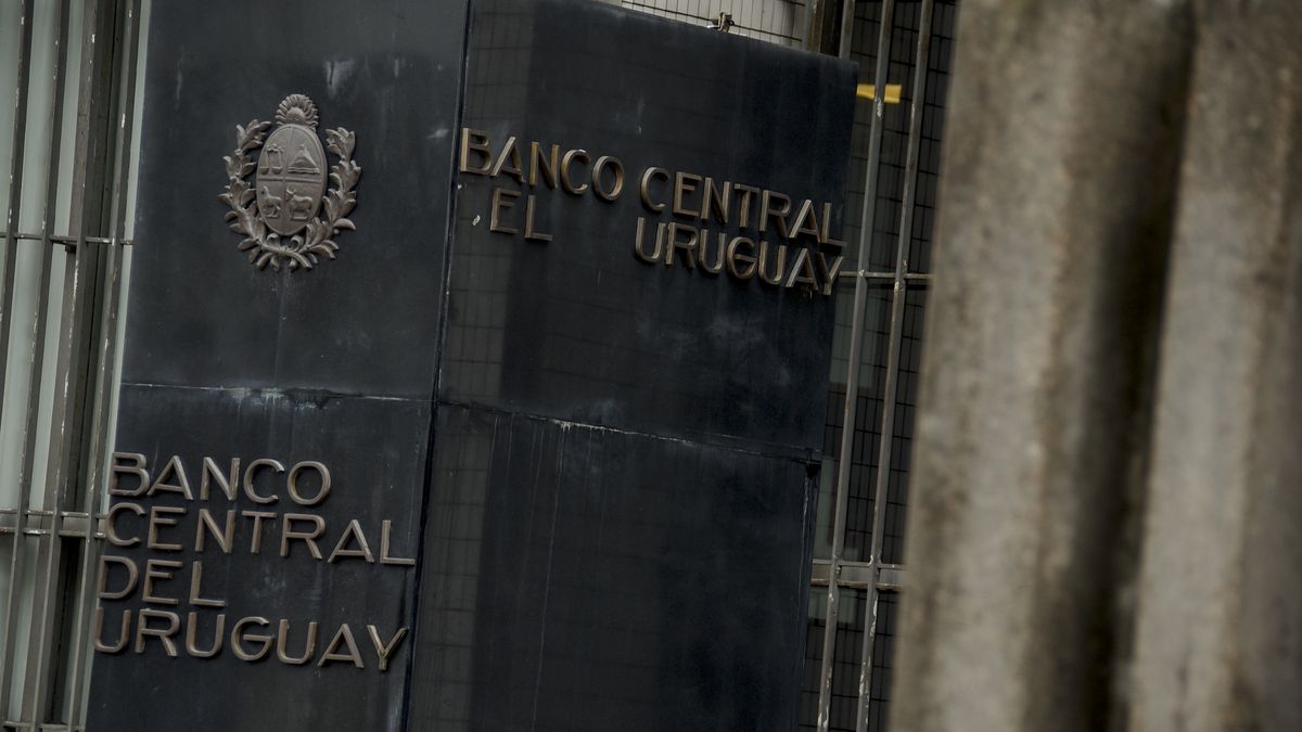 estafas-de-fondos-ganaderos:-justicia-condeno-al-banco-central-y-al-ministerio-de-ganaderia-por-omision-en-controles-a-republica-ganadera
