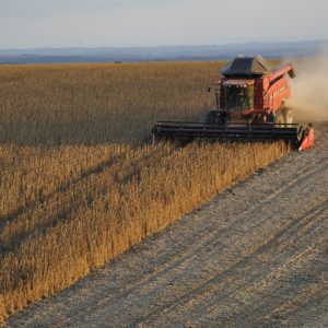farmers-slow-soy-sales,-but-its-actually-good-news-for-the-economy