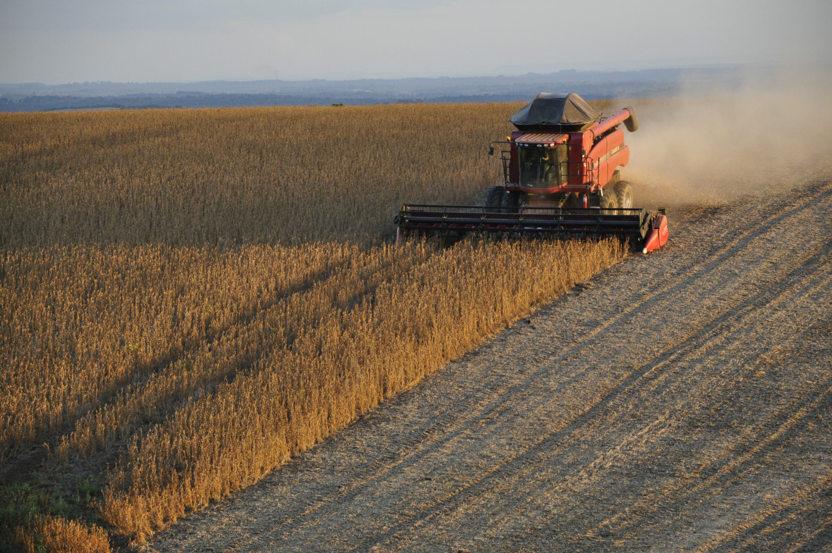 farmers-slow-soy-sales,-but-its-actually-good-news-for-the-economy