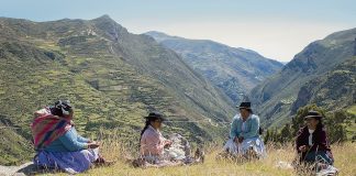 Cine peruano: la disminución de la producción de documentales y el Colegio de Artistas cine-peruano:-la-disminucion-de-la-produccion-de-documentales-y-el-colegio-de-artistas