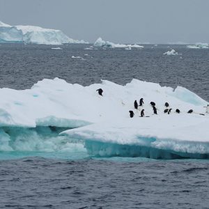 rios-atmosfericos-aceleram-degelo-da-antartida-e-ameacam-elevar-nivel-dos-oceanos