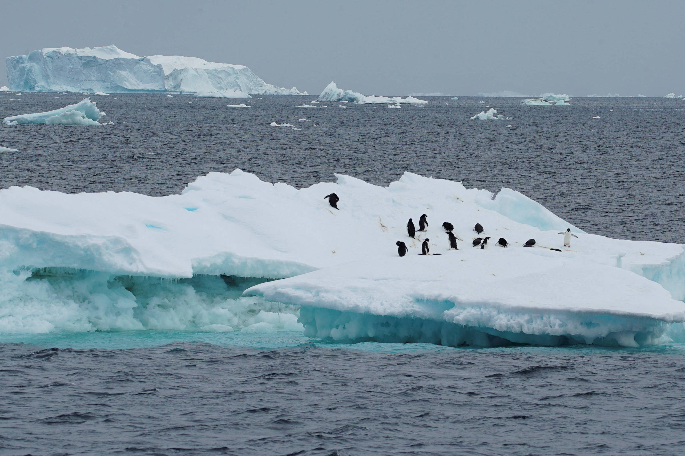 rios-atmosfericos-aceleram-degelo-da-antartida-e-ameacam-elevar-nivel-dos-oceanos