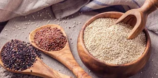 Caneb identifica oportunidades para exportaciones bolivianas con aranceles de EEUU caneb-identifica-oportunidades-para-exportaciones-bolivianas-con-aranceles-de-eeuu