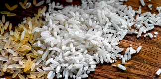 Científicos explican por qué comer arroz con frecuencia podría aumentar la exposición a un elemento tóxico y cancerígeno cientificos-explican-por-que-comer-arroz-con-frecuencia-podria-aumentar-la-exposicion-a-un-elemento-toxico-y-cancerigeno