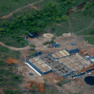 mpf-aciona-facebook-e-instagram-por-‘aviso-preventivo’-em-posts-sobre-mineracao-e-garimpo