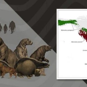 cientificos-argentinos-afirman-que-los-primeros-americanos-eran-especialistas-en-cazar-megafauna