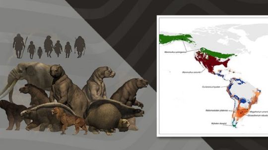 cientificos-argentinos-afirman-que-los-primeros-americanos-eran-especialistas-en-cazar-megafauna