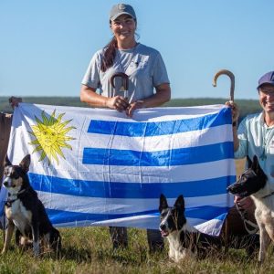 tres-productores,-cinco-border-collie-y-un-sueno:-defender-la-celeste-en-el-mundial-de-perros-de-pastoreo