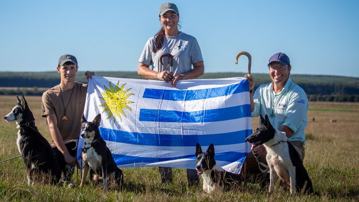 tres-productores,-cinco-border-collie-y-un-sueno:-defender-la-celeste-en-el-mundial-de-perros-de-pastoreo