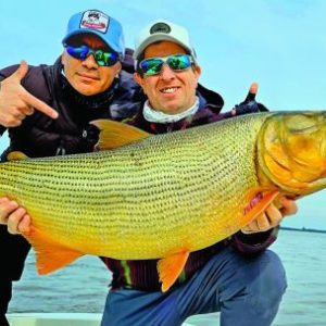 el-regreso-de-los-dorados-gigantes